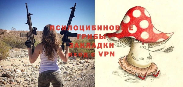 гашик Балабаново